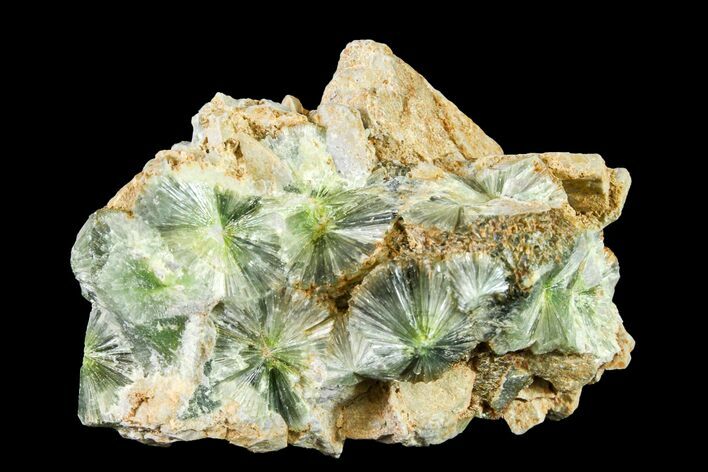 Radiating, Green Wavellite Crystal Aggregation - Arkansas #163079